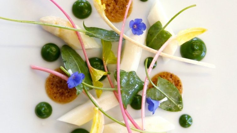 Киселец при анемия &ndash; ценен източник на витамин C 