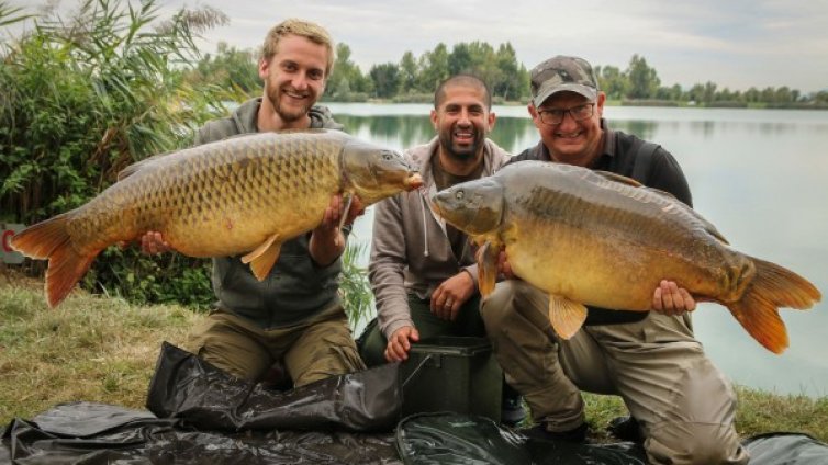 Говори Али Хамиди &ndash; Царят на шараните 