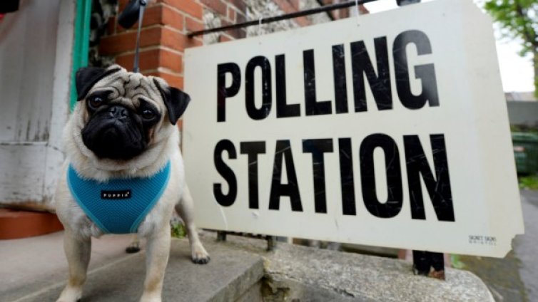 Четириногите "гласуващи" &ndash; звездите на Острова