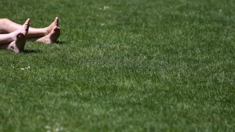 Тихо, топло, лятно: Температурите днес &ndash; до 31&deg;С