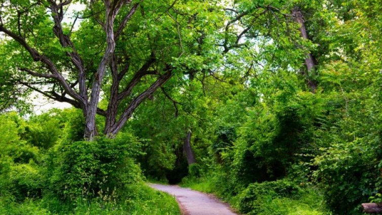 Стара Загора на референдум: За спасяване на "Бедечка"