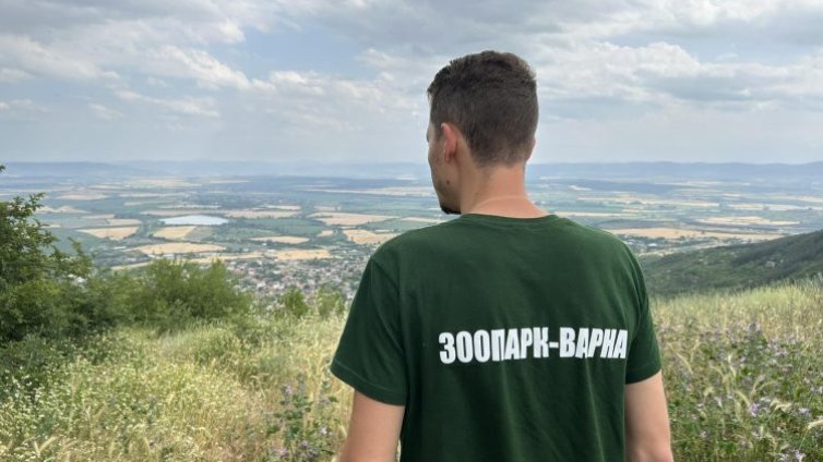 Фантом или не, черният леопард издейства компенсации на шуменски кръчми и хотели