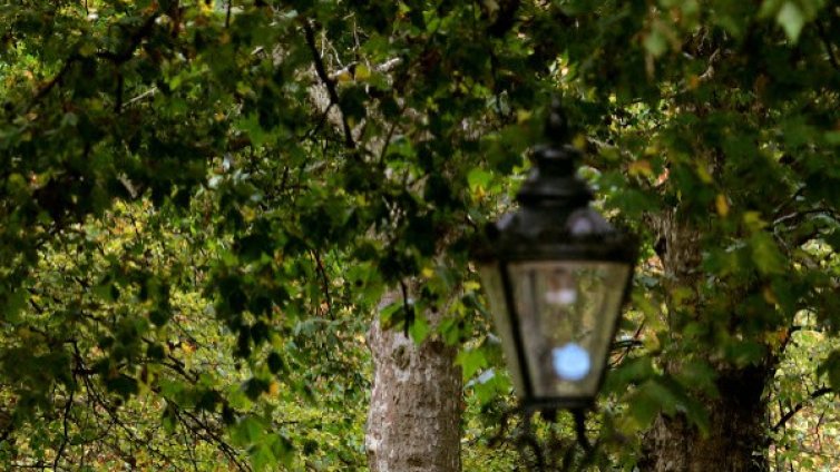 Китай започна да строи първия "град-гора" в света