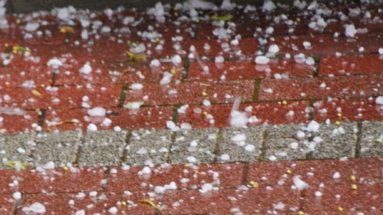 След горещините: Бури, паднали дървета и села без ток из страната