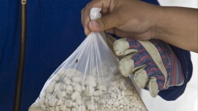 Жена от "Столипиново" криела в сутиена си хероин за 114 000 лева