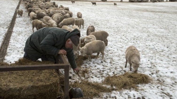 Силна зимна буря засегна Нова Зеландия 