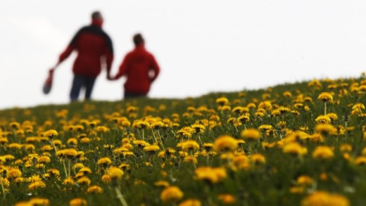 Купуването на земя в България – възможно и за чужденци