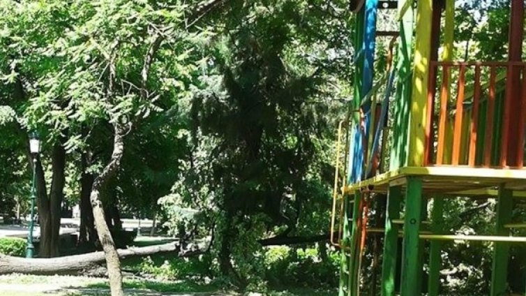 НАЗП за туризма: Опасни детски площадки и фалшив алкохол