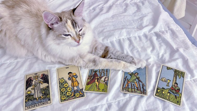 Таро прогноза за 14 - 20 април