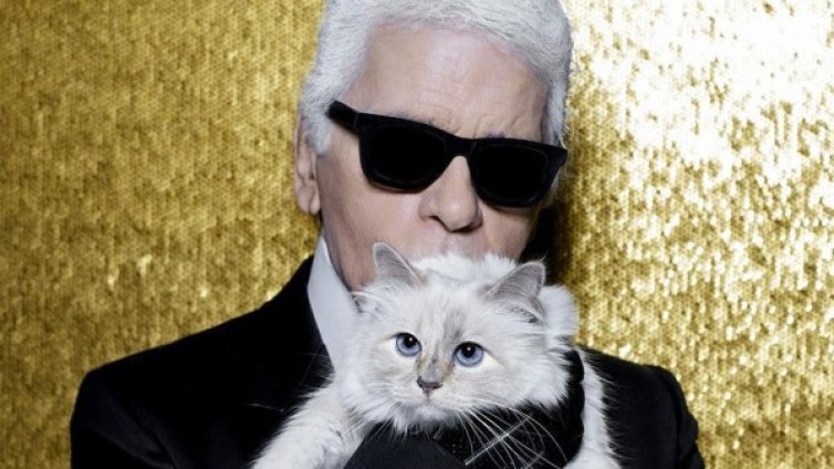 Шупет &ndash; най-богата котка в света