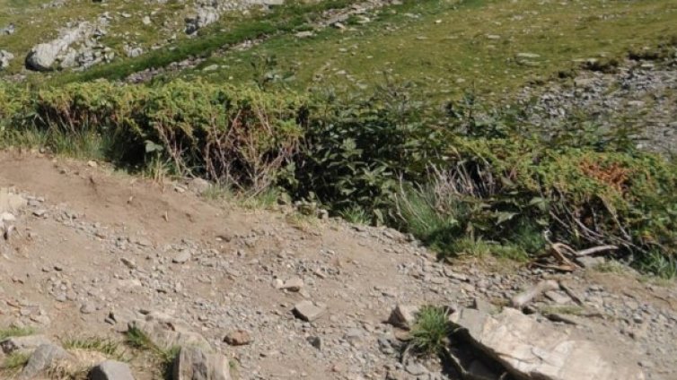 Планински спасители с акция край хижа Лескова