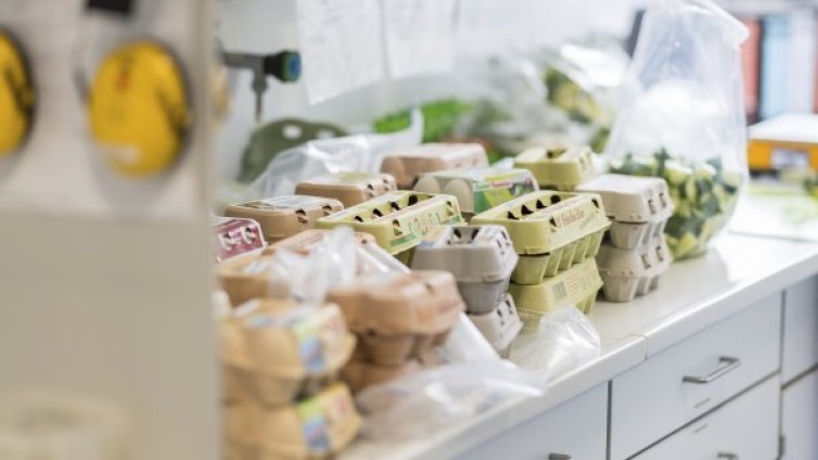 Първи арести за аферата с яйцата