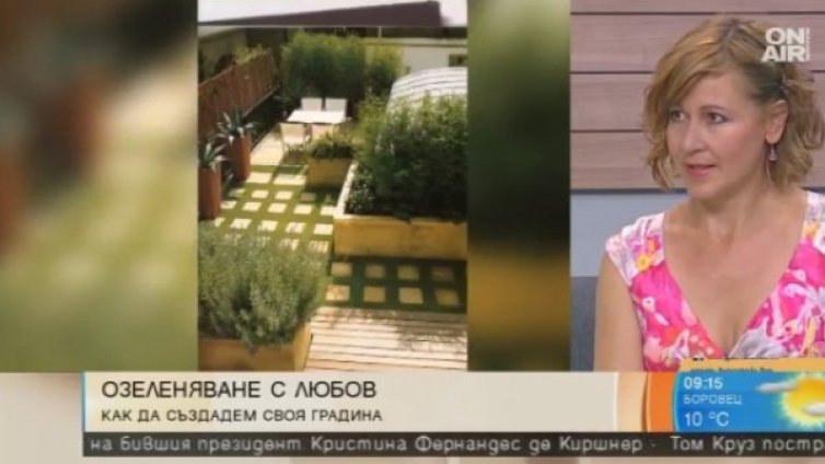 Висящата градина на Семирамида на... балкона