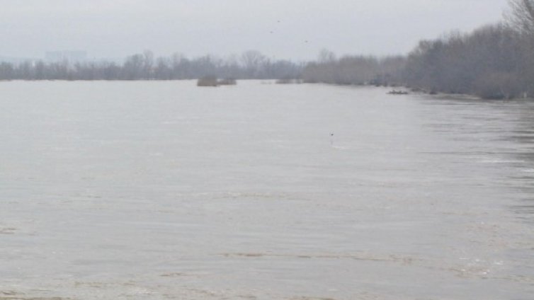 Тунджа отровена! Умират животните на фермери