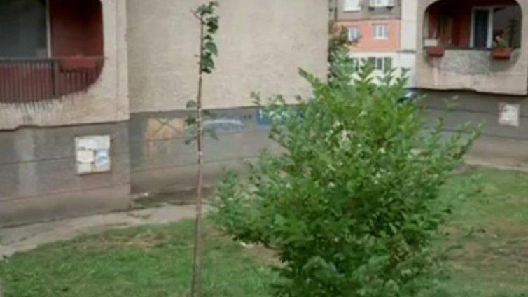Новороденото, намерено в Перник, хвърлено от седмия етаж