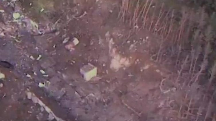 Градят две нови сгради в "Миджур", наемат и 41 работници