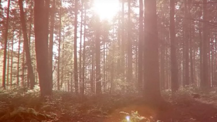 Секс фестивалът "Flamefest" – приключи с мистериозна смърт