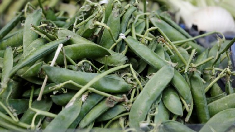 Зелен фасул: Кои са полезните му свойства?