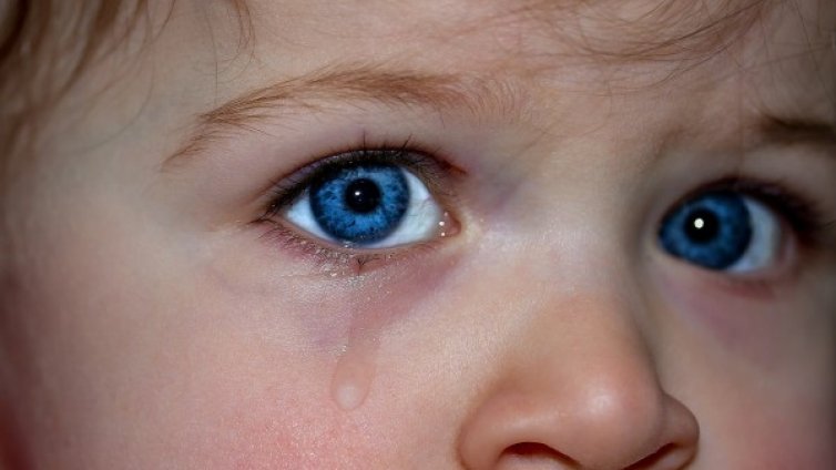 Защо боят не възпитава децата?