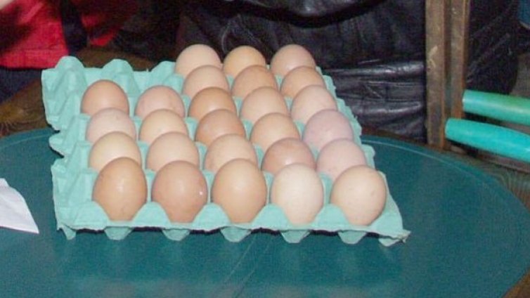 На пазара ни има още 300 кг продукти с фипронил