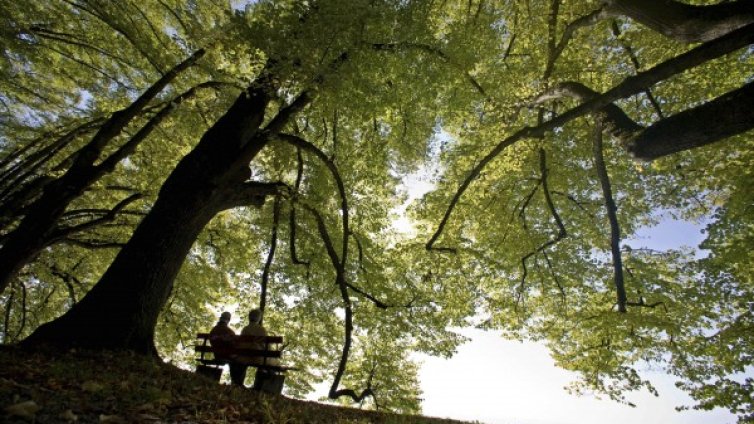 До края на седмицата: Горещо, малко есенен дъжд и пак жега