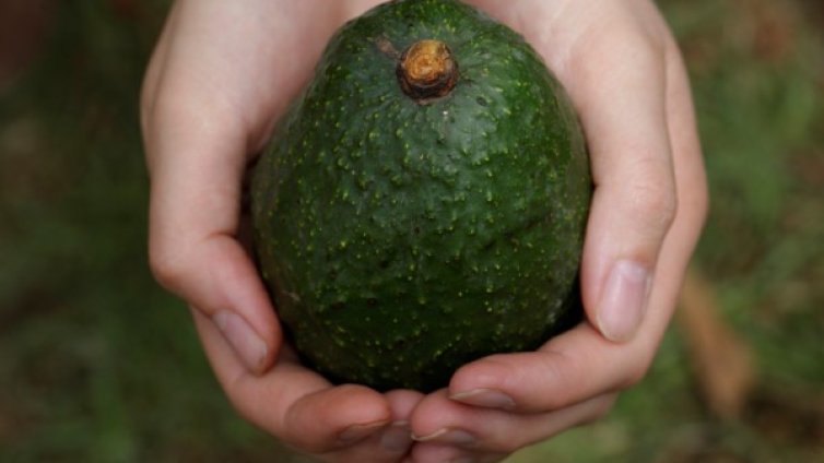 Хранене при липса на магнезий