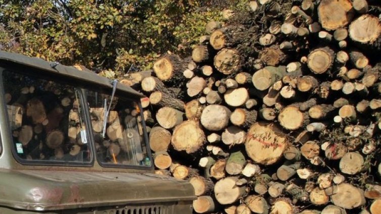 Млад мъж загина при добив на дърва, затисна го трактор