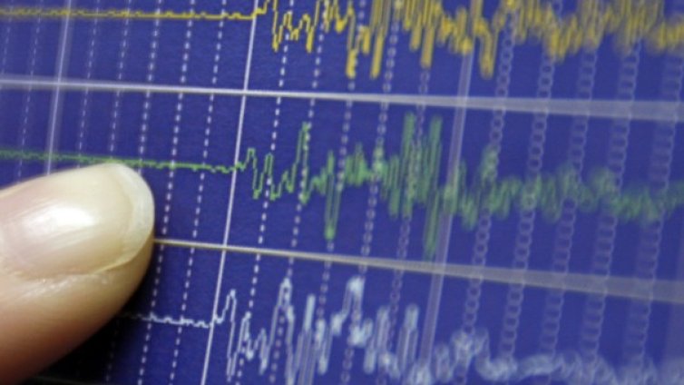 Трус от 7,4 по Рихтер удари в южната част на Мексико