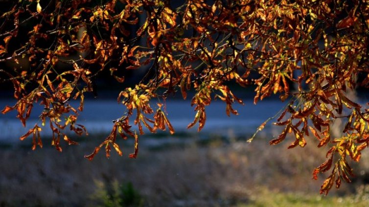 Облаци и слънце през деня, температурите - до  26&deg;