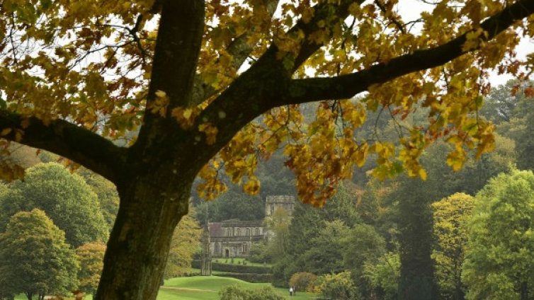 След студения уикенд пак ще е циганско лято