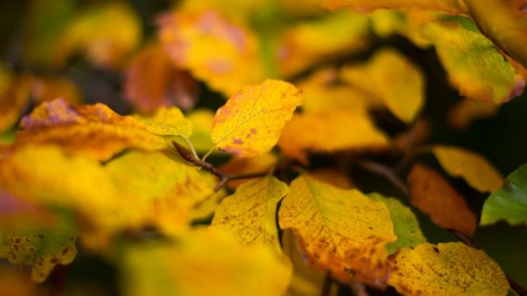 Циганското лято продължава: До 25 градуса днес!