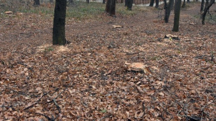 Ще се повтори ли сценарият от Асеновград и в Баня?