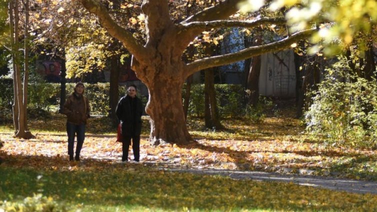 Дълголетие, но без качествен живот! Има ли смисъл?