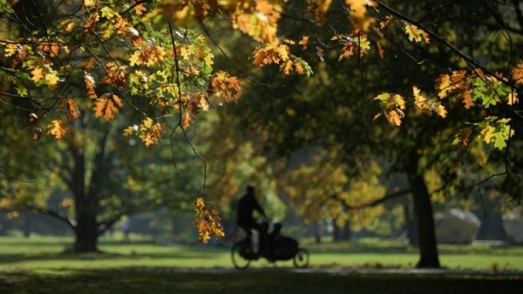 Слънцето остава, градусите тръгват леко нагоре