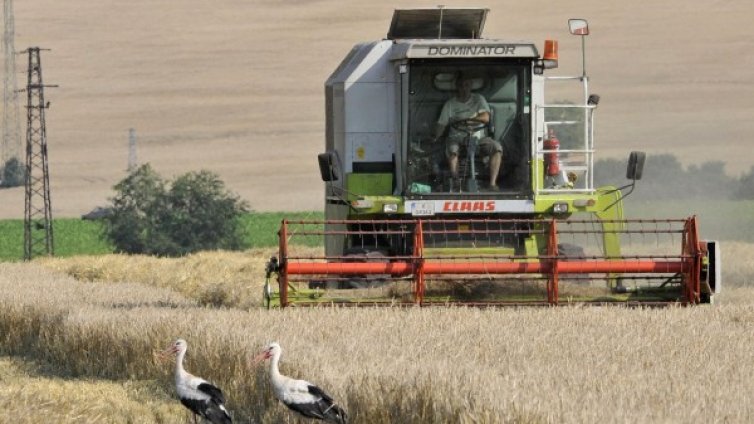 Всеки пети българин - на село, копае, гледа животни