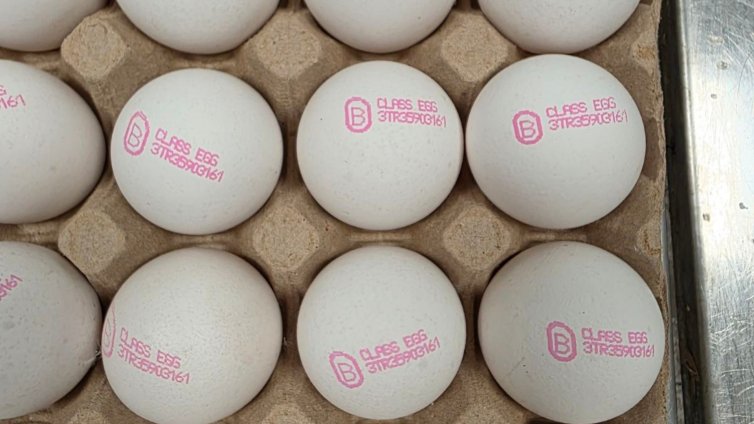 БАБХ спря почти 1,3 млн. турски яйца на "Капитан Андреево"