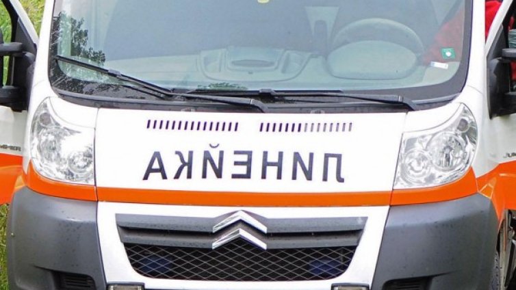 Две ранени деца и загинала жена при катастрофа край Монтана