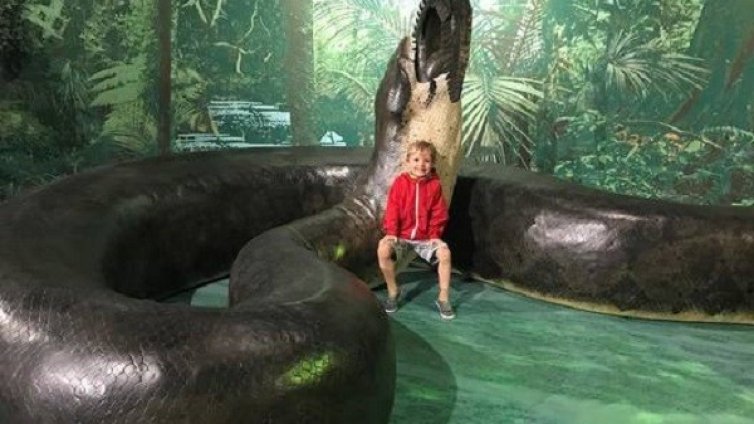 Животни от миналото: Изчезналите видове