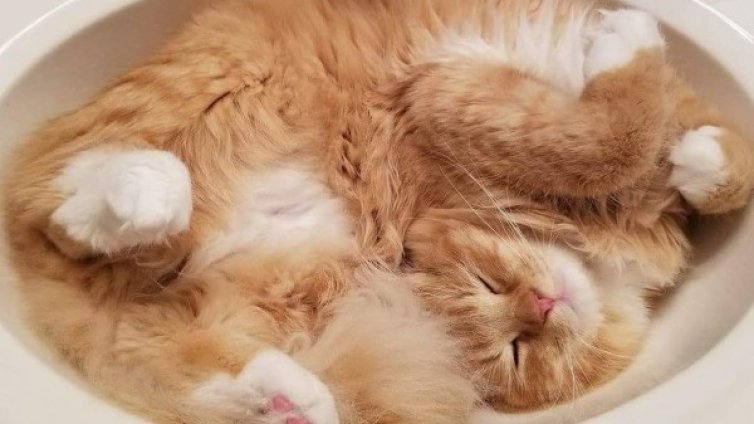 Позата, в която спим и какво издава тя за характера ни