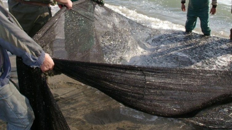 Преди Никулден спипаха над тон незаконен улов риба