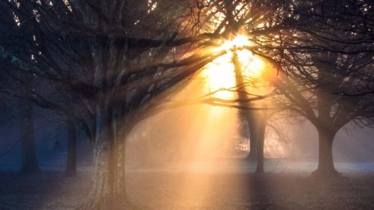 Декемврийска пролет! Слънчево с температури до 13&deg;С