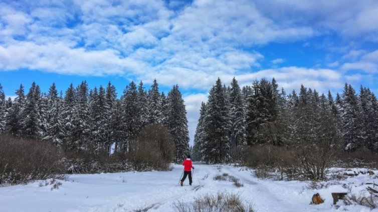 Облачно, на места дъжд. Температурите до 10&deg;C