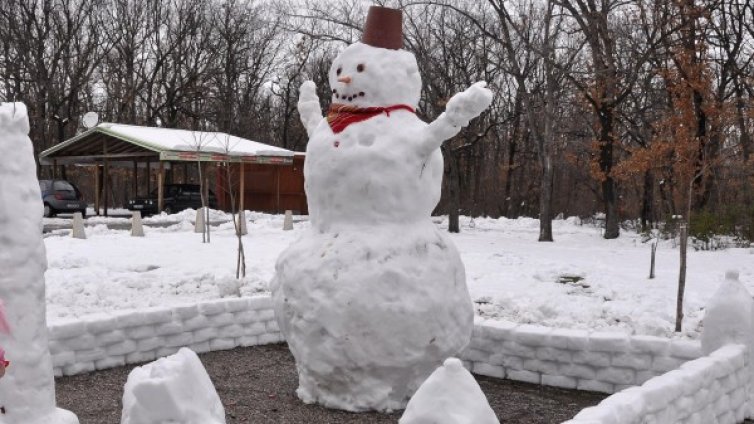 До края на януари: Сутрините мразовити, после градусите скачат