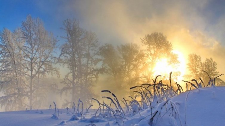 Януарска пролет: Днес 14&deg;C, във вторник 16&deg;C...