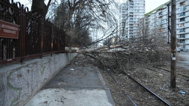 Най-ветровито и дъждовно ще е в Югоизточна България