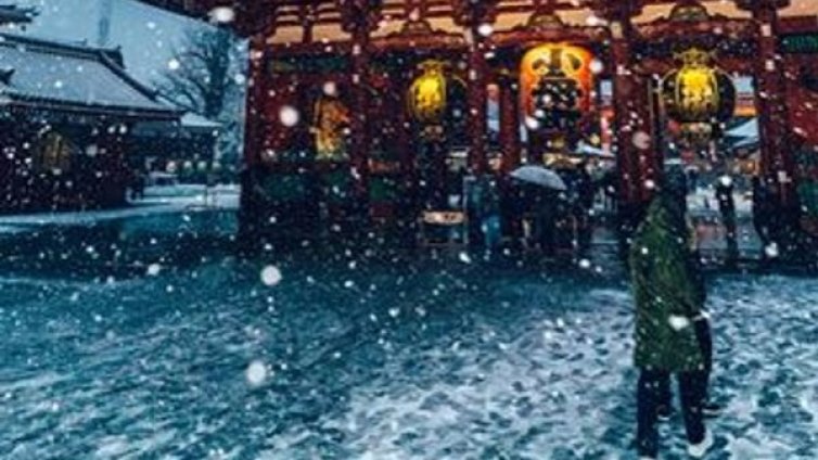 Токио в сняг – бяла красота и нежност