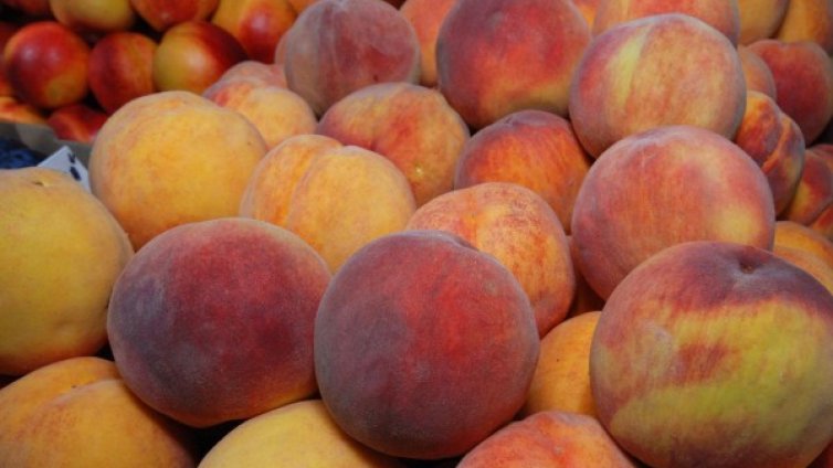 Ранните праскови и кайсиите измръзнаха в Сливенско