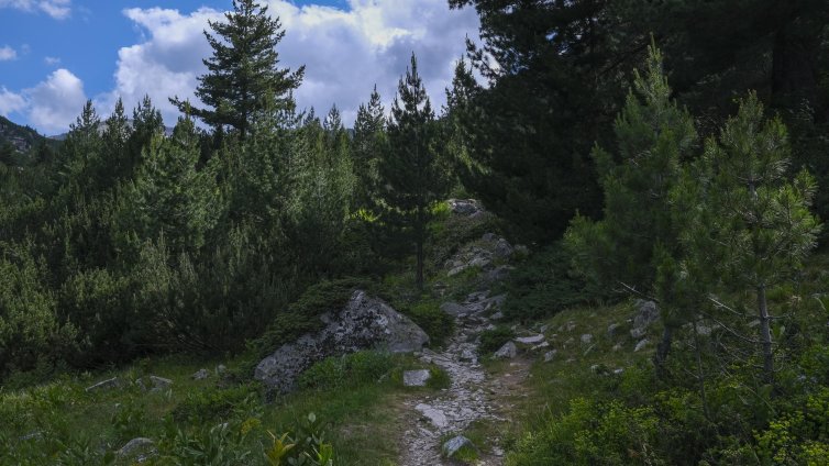 Спасители са помогнали на туристи в Рила в три акции