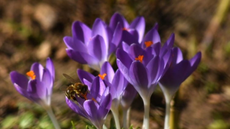 Денят в снимки &ndash; 12 март