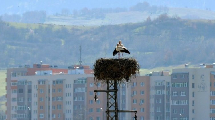 Денят в снимки &ndash; 15 март